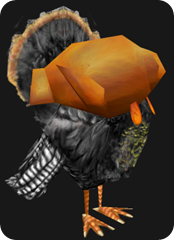Stupid turkeys.