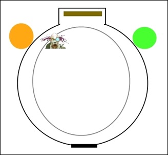 Putricide_pull